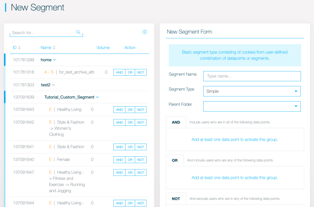 dmp-new-segment-view